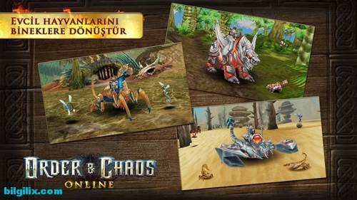 Order & Chaos Online-11