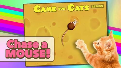 Android ve iOS İçin Kedi Oyunları