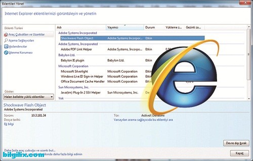 Internet Explorer, tarayıcı hatası